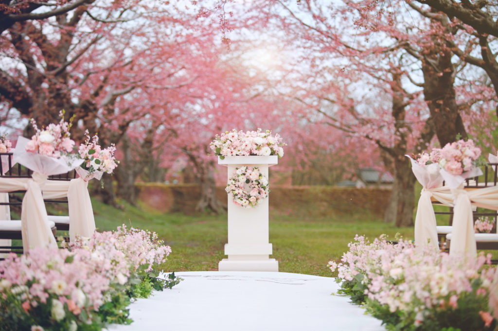 An outdoor wedding ceremony surrounded by Sakura WEDDING REPORT